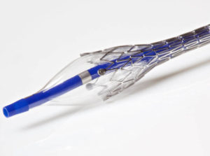 medical device stent