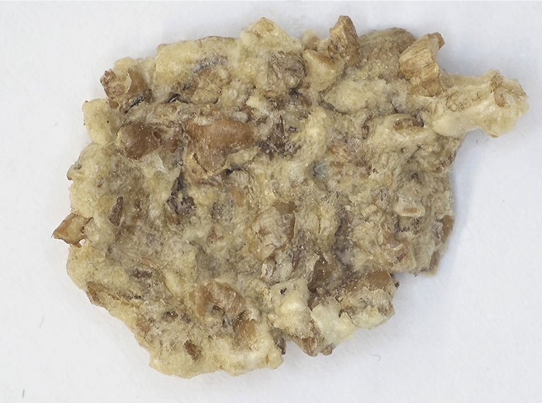 Bran flake food inspection